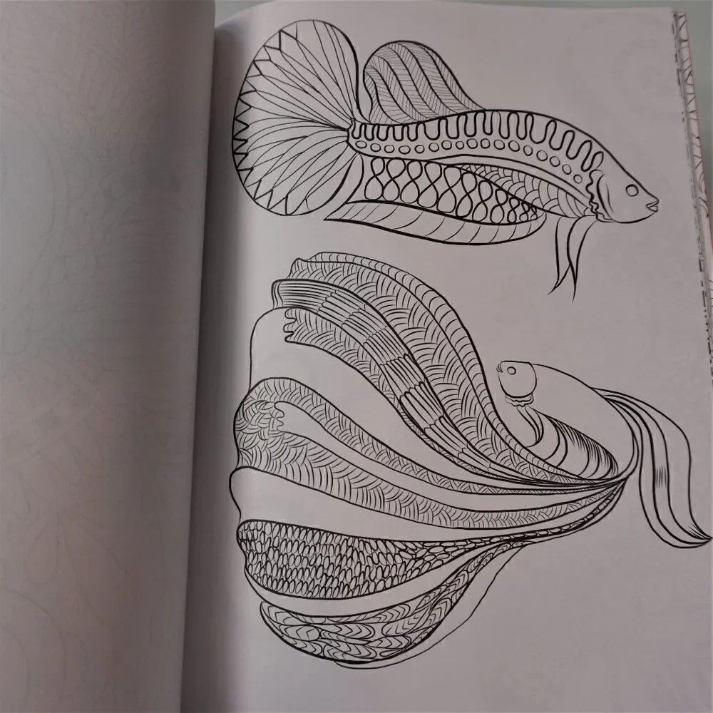 Color Creatives Book Peaceful Patterns Coloring To Relax And Soothe - Picture 9 of 9